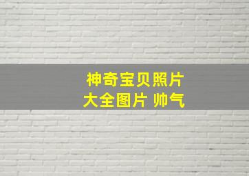 神奇宝贝照片大全图片 帅气